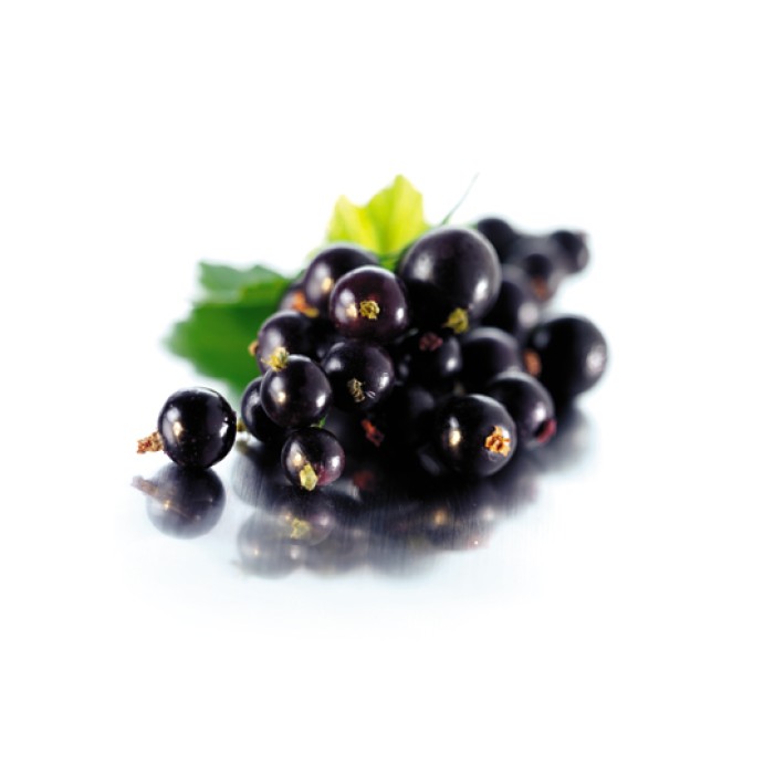 Разсад Йоща Jostaberry (Ribes × nidigrolaria) - хибрид между касис и цариградско грозде