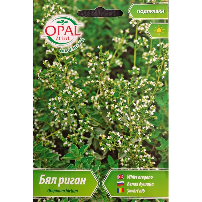 Бял риган Origanum hirtum
