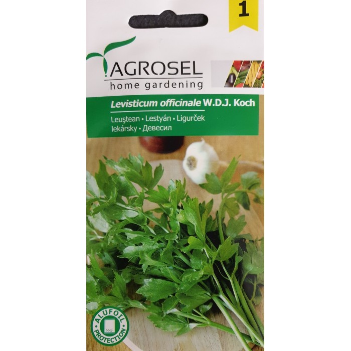 Девесил Levisticum officinale