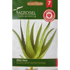 Семена за Алое Вера Aloe vere