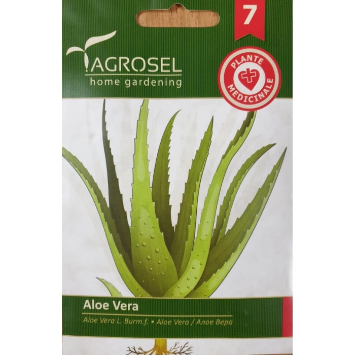Семена за Алое Вера Aloe vere