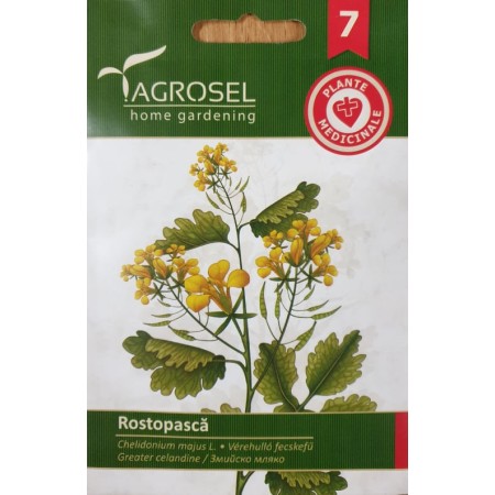 Змийско мляко Chelidonium majus