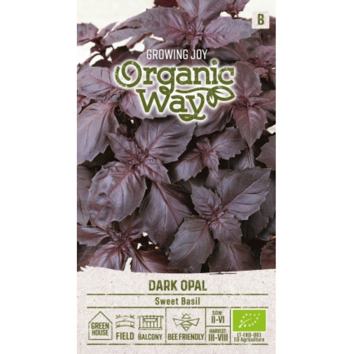 Органик Босилек Тъмен Опал Ocimum basilicum