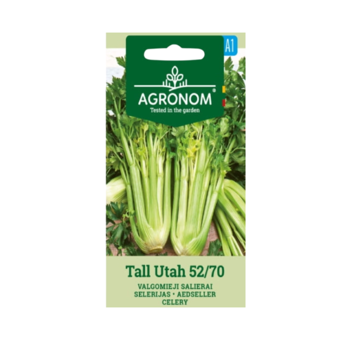 Целина Дръжкова Тал Юта Tall Utah