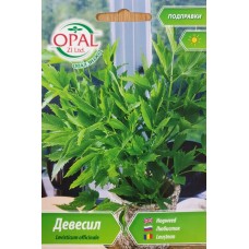 Девесил Levisticum officinale