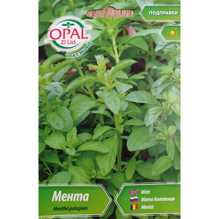 Мента Mentha pulegium