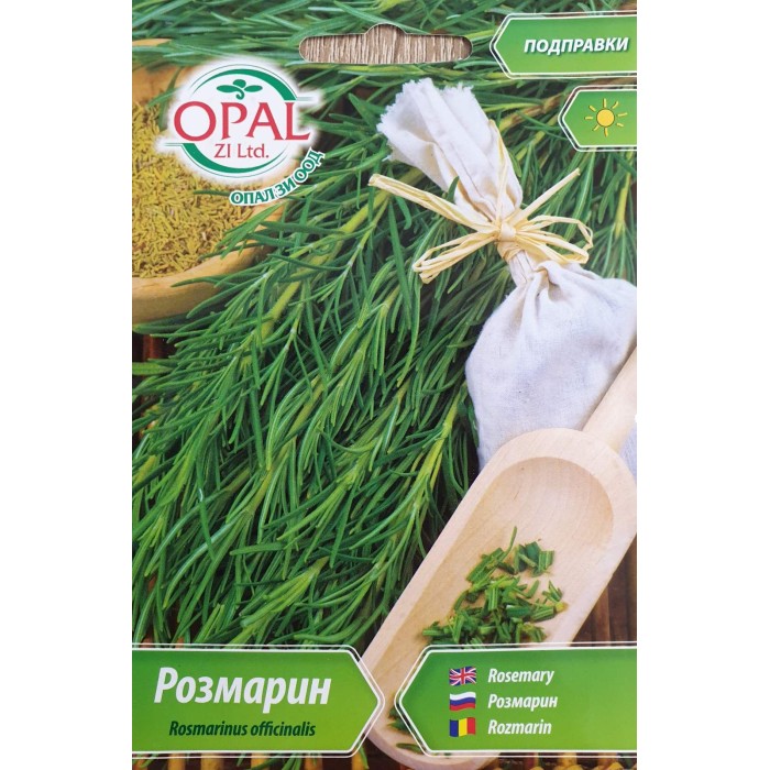 Розмарин Rosmarinus officinalis