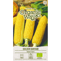 Органик Царевица Сладка Голдън Бантам Golden Bantam