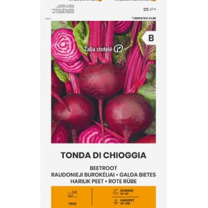 Салатно Цвекло Чиогиа Tonda Di Chiggia