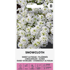 Алисум бял Lobularia maritima