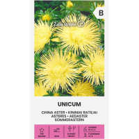 Астри Жълти Игловидни Уникум Callistephus chinensis L Ness Unicum
