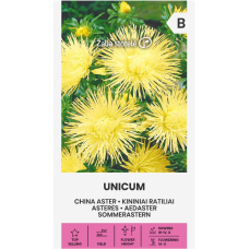 Астри Жълти Игловидни Уникум Callistephus chinensis L Ness Unicum