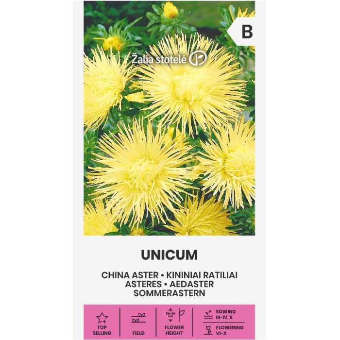 Астри Жълти Игловидни Уникум Callistephus chinensis L Ness Unicum