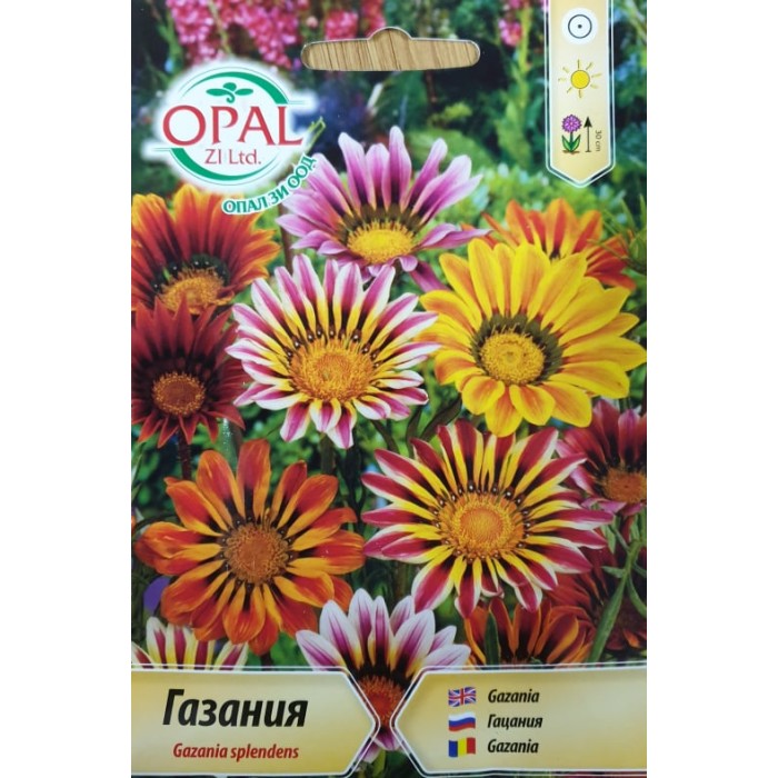 Газания микс