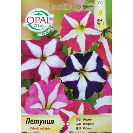 Петуния Звезда Petunia x hybrida
