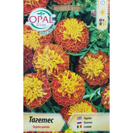 Тагетес Tagetes patula