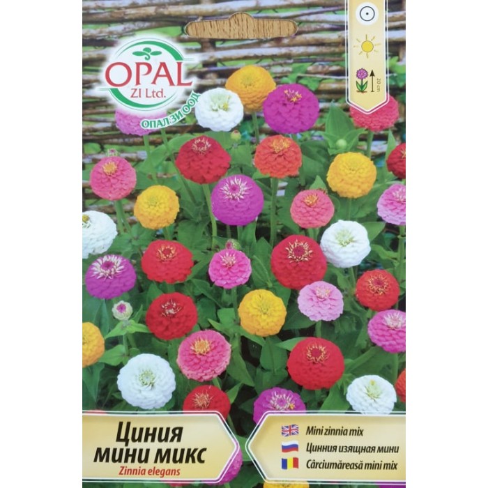 Циния мини микс