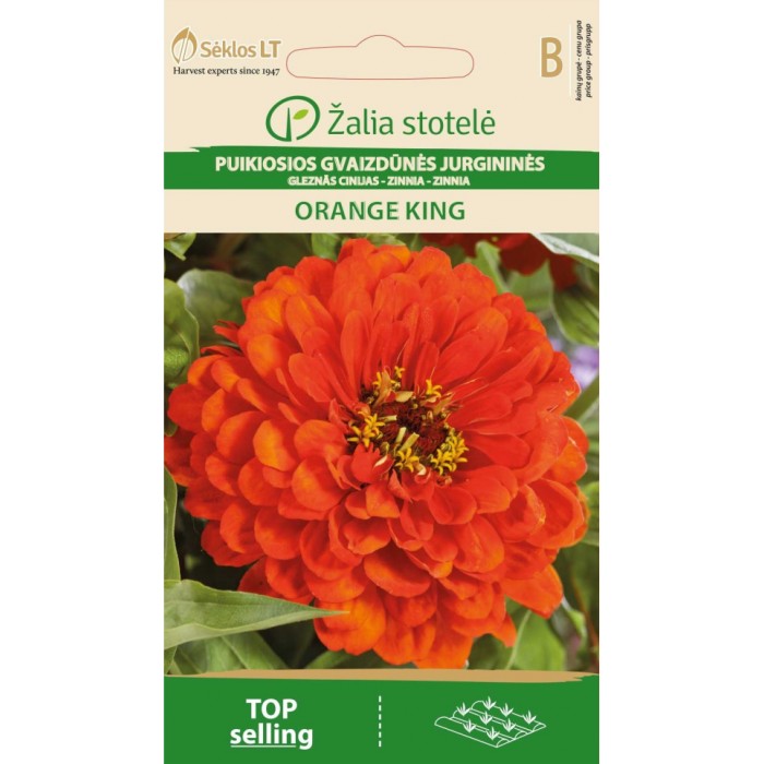 Циния оранжева Orange King Zinnia elegans dahlienflora