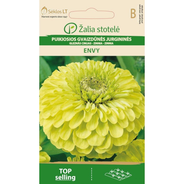 Циния резеда Envy Zinnia elegans dahlienflora