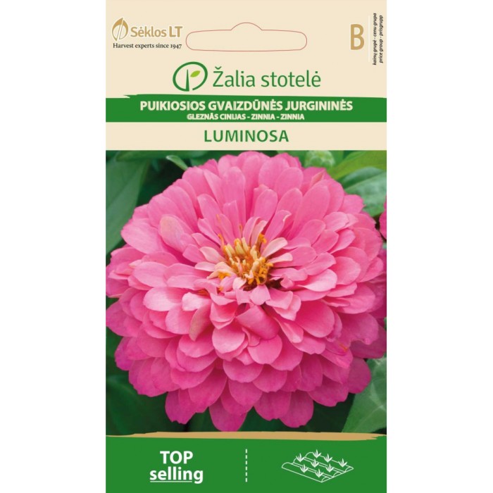 Циния Розова Luminosa Zinnia elegans dahlienflora