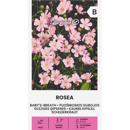 Гипсофила Розеа Gypsophila elegans M. Bieb.