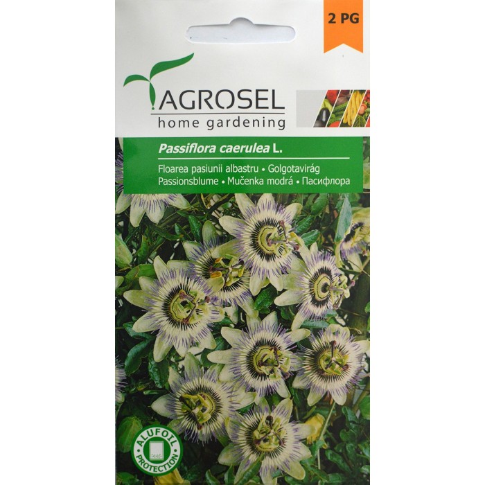 Пасифлора Passiflora caerulea L