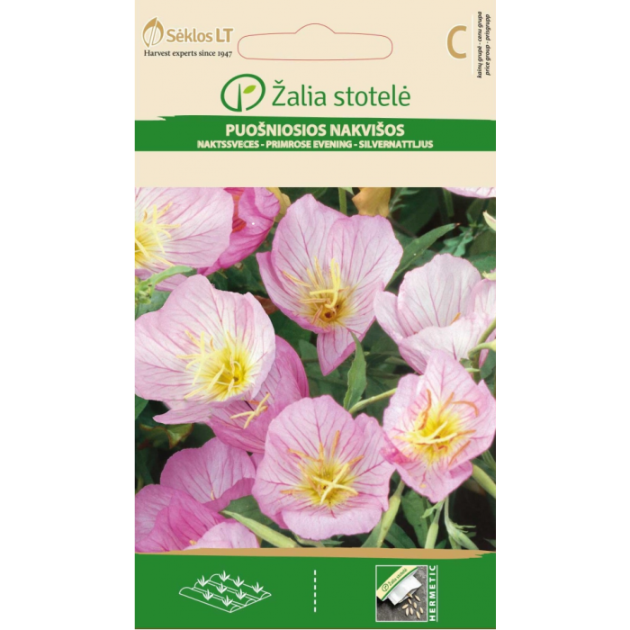 Вечерна Иглика Розова Oenothera speciosa
