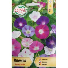 Ипомея микс