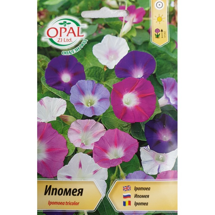 Ипомея микс