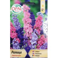 Ралица (Делфиниум ) Delphinium ajacis