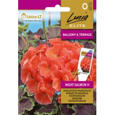 Мушкато Нощна Сьомга F1 Geranium