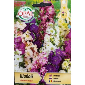 Шибой (Матиола) Matthiola incana