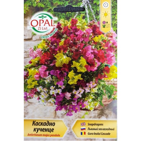 Каскадно Кученце Antirrhinum majes pendula