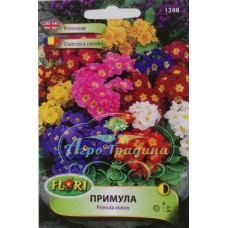 Примула (Иглика) смес