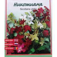 Никотиана микс