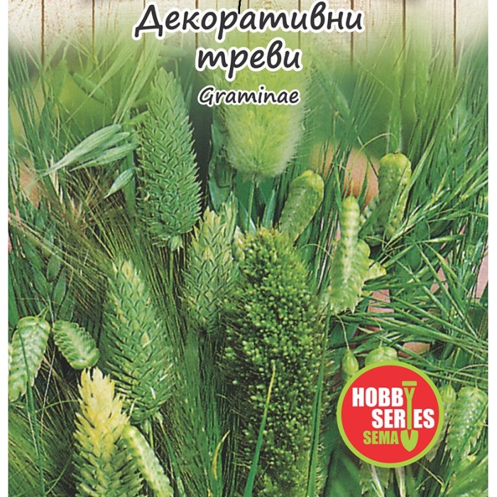 Семена за Декоративни треви Graminae