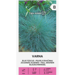 Декоративна трева Varna Festuca ovina Glauca
