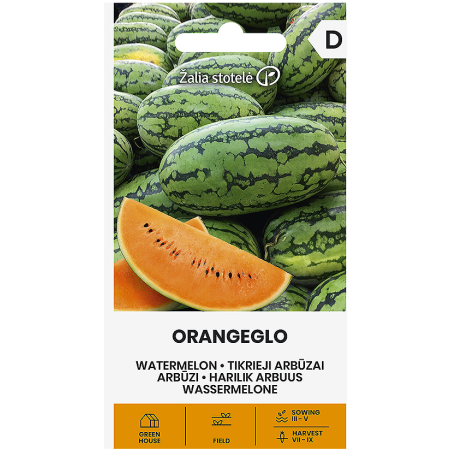 Диня Портокалова Оранжело Solanum melongena L.