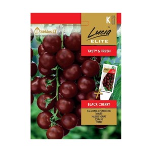 Чери домати Черни (Блек чери) Bleck Cherry