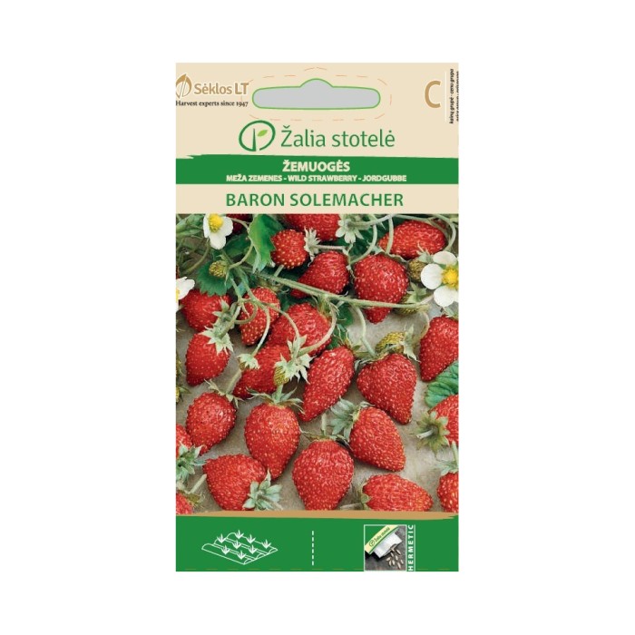 Ягоди Барон Солемахер Fragaria vesca Baron Solemacher