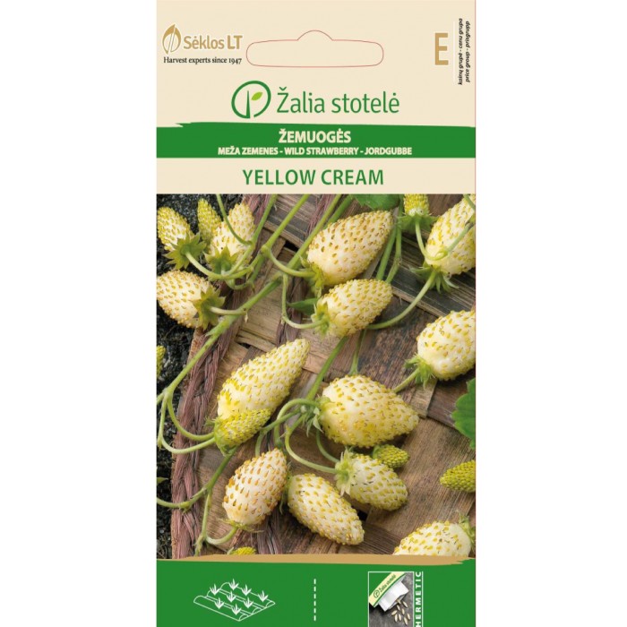 Ягоди Жълт крем Fragaria vesca