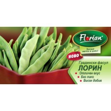 Фасул Лорин (зелен, плосък, нисък)- НОВ СОРТ