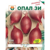 Лук Роса лунга