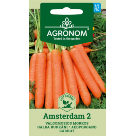 Моркови Aмстердам 2 Daucus carota L