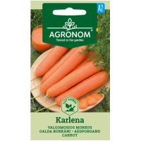 Моркови Карлена Daucus carota L.