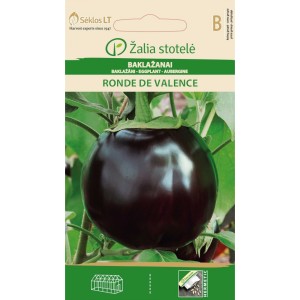 Патладжан Ронде Ди Валенсе Solanum melongena L