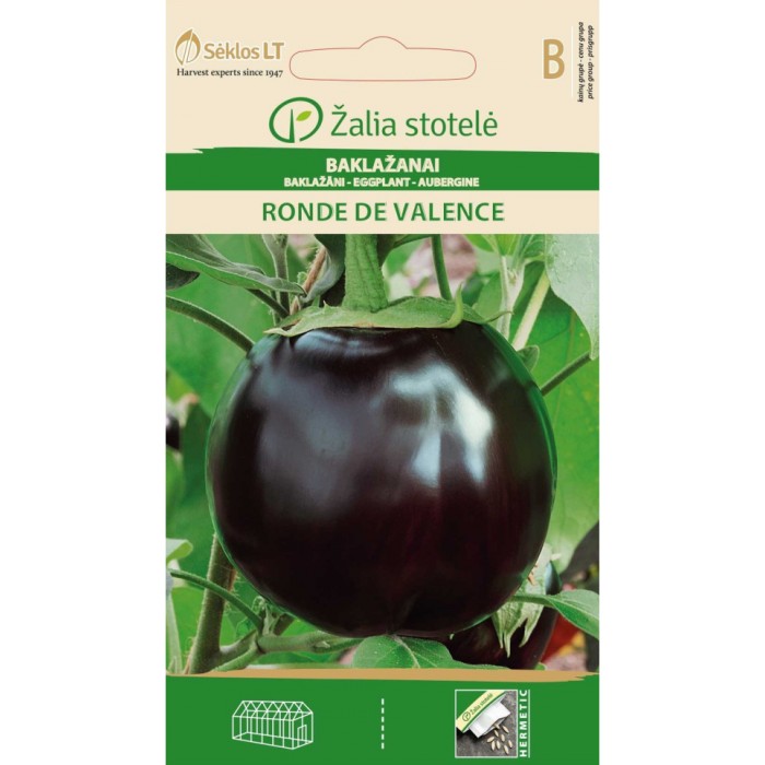 Патладжан Ронде Ди Валенсе Solanum melongena L