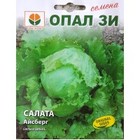 Салата Айсберг