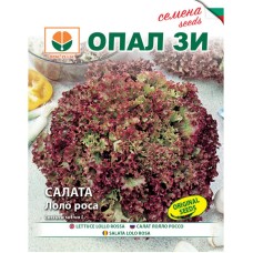 Салата Лоло Роса