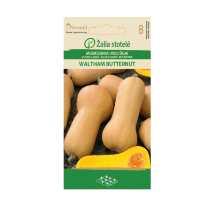 Тиква Бутернут (мускатна) Waltham Butternut
